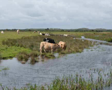 Navigating the Environmental Land Management Schemes