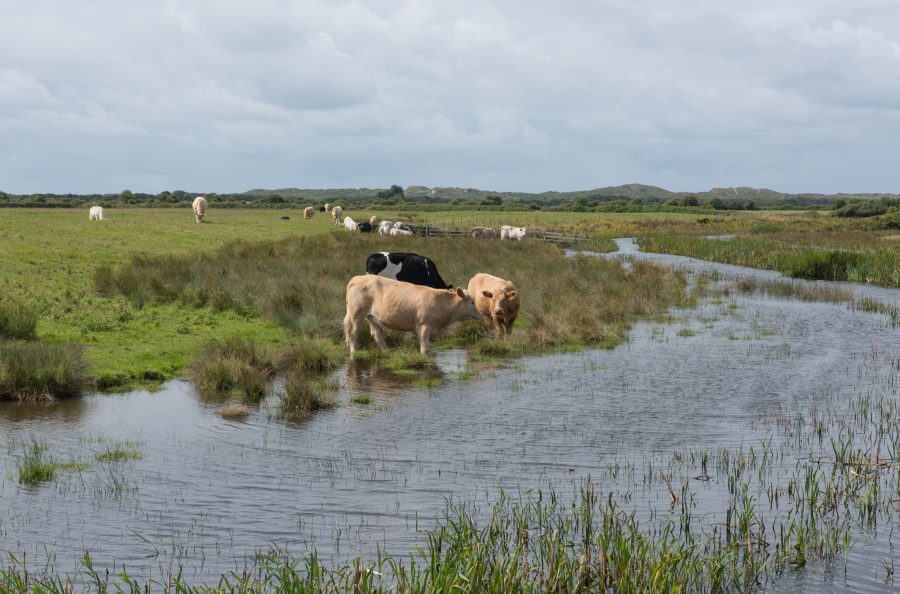 Navigating the Environmental Land Management Schemes