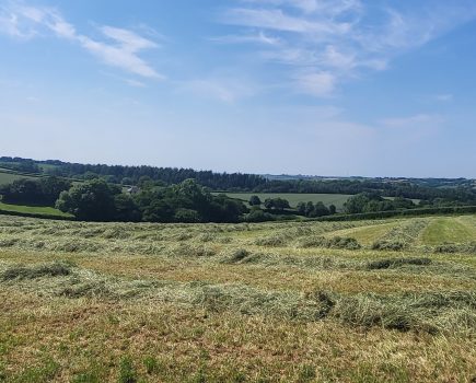 Soil-born microbes bring benefits from slurry to silage