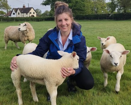 Livestock farmers are invited to a Farm of the Future demonstration event