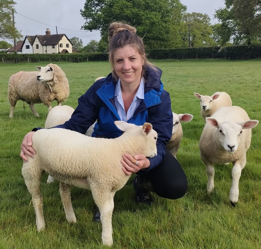 Livestock farmers are invited to a Farm of the Future demonstration event