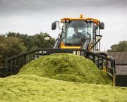 Silage prep key to first cut success