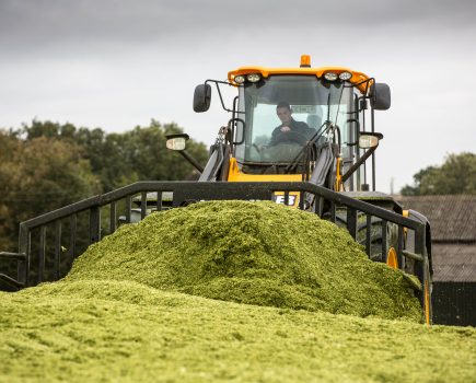 Silage prep key to first cut success