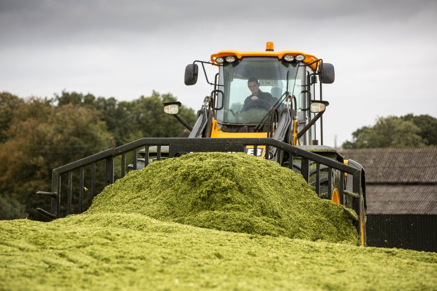 Silage prep key to first cut success