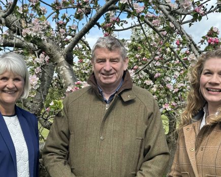 New team at the National Fruit Show