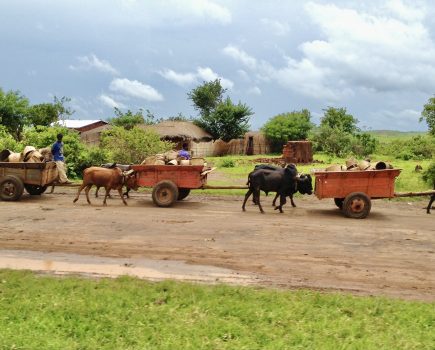 MIKE KETTLEWELL: Our agricultural history