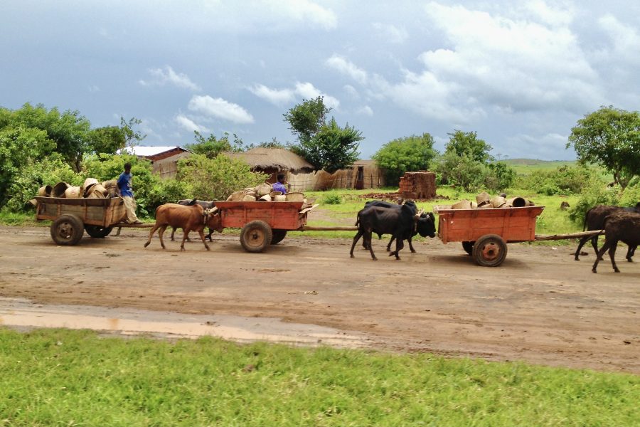 MIKE KETTLEWELL: Our agricultural history