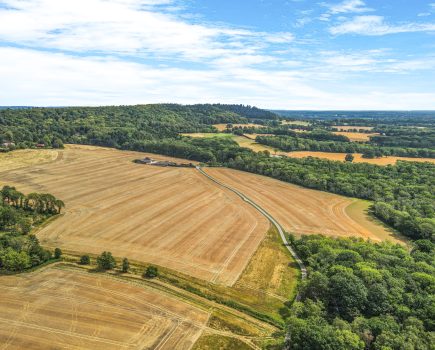 Ring-fenced farm in the Surrey Hills