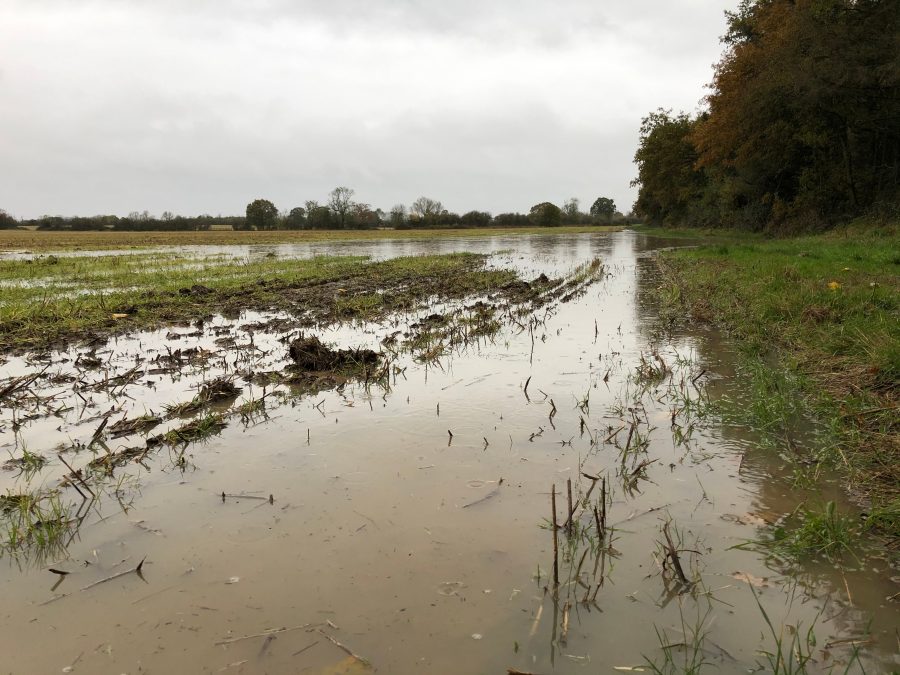 How the UK’s relentless rain could affect grower’s contracts