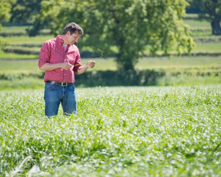 Leading farming charity RABI pledges £10m for mental health support