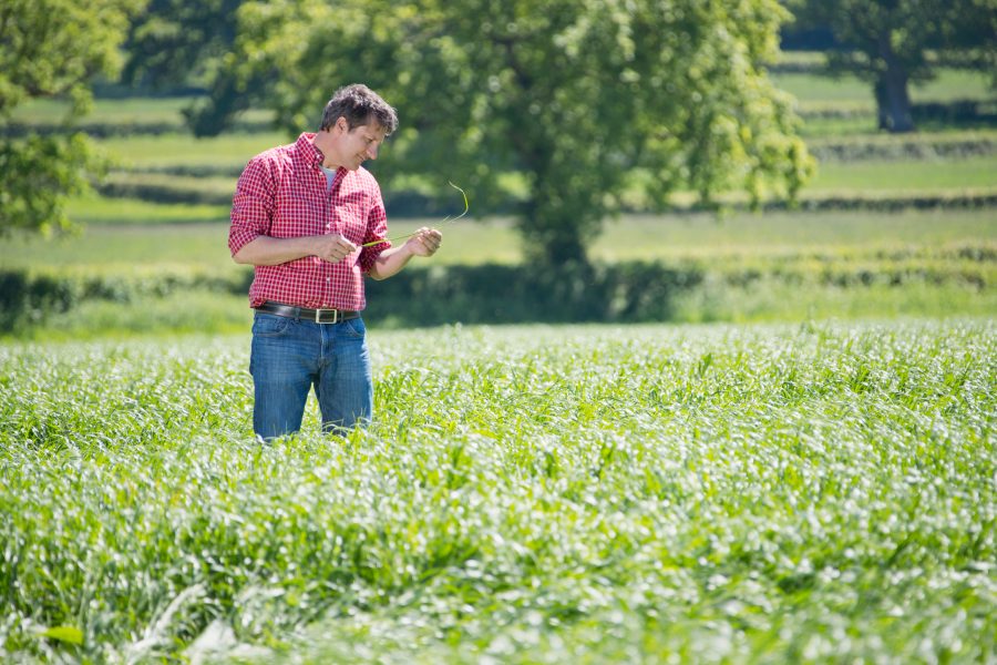 Leading farming charity RABI pledges £10m for mental health support