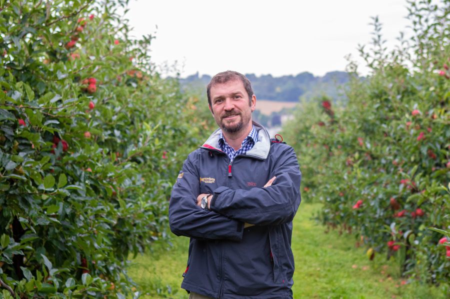 Experts advise alternating products to control codling moths this season