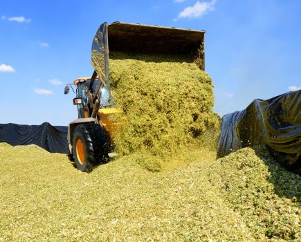 UK farmers urged to clamp down on silage pollution