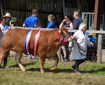 Showcasing local farming and agriculture