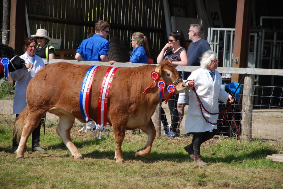 Showcasing local farming and agriculture