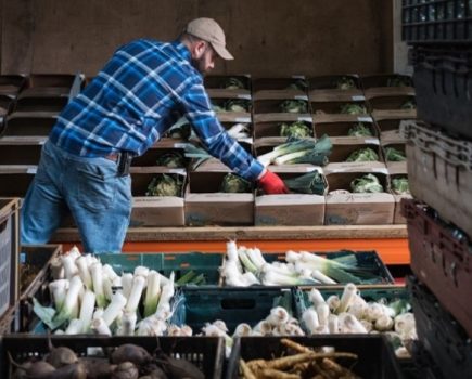Cutting-edge software boosts Oxfordshire farm sales