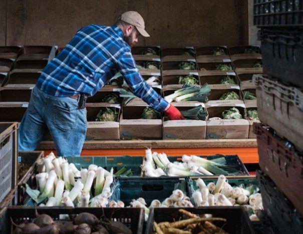 Cutting-edge software boosts Oxfordshire farm sales