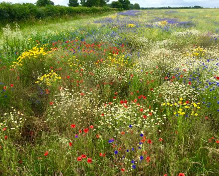 Mike Kettlewell: Small farms and a family journey