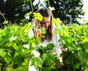 Megan Fitzpatrick: Growing pressures