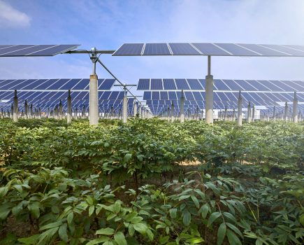 Time to think beyond the roof?