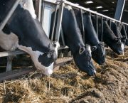 Make use of TB Advisory Service before funding ends