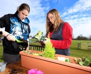 South of England Agricultural Society hosts 27th Jim Green Challenge