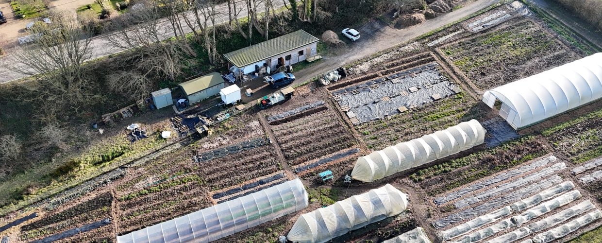 Small-scale success for Stonelynk Organics