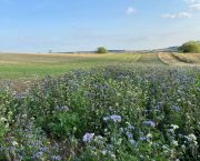 New Natural Capital Knowledge Hub
