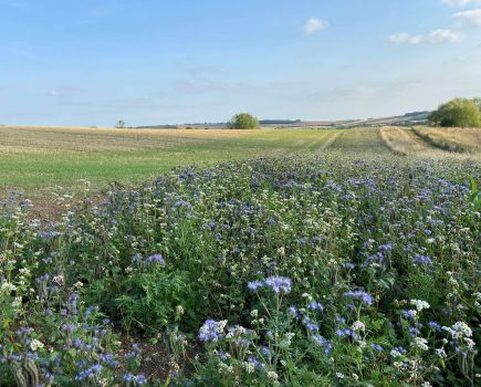 New Natural Capital Knowledge Hub
