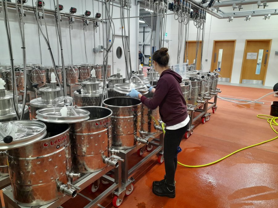 Prestigious appointment for NIAB Oenologist Belinda Kemp