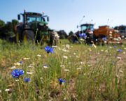 Shock announcement sees SFI applications halted