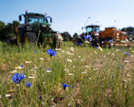 Shock announcement sees SFI applications halted