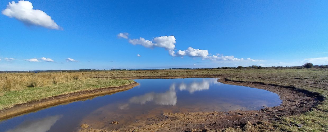 Pevensey Levels wetland restoration