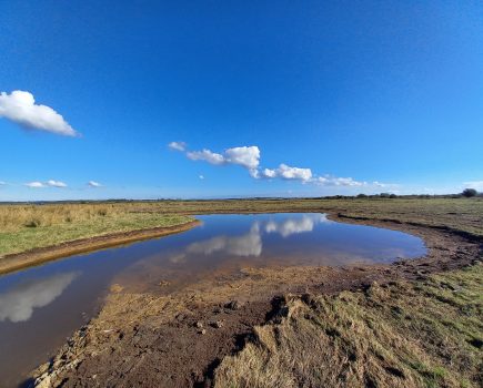 Pevensey Levels wetland restoration