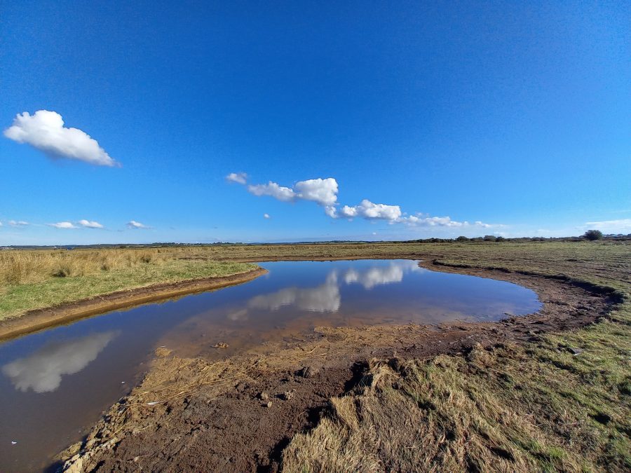 Pevensey Levels wetland restoration