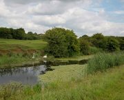Farmers and conservationists urge Higher Tier expansion