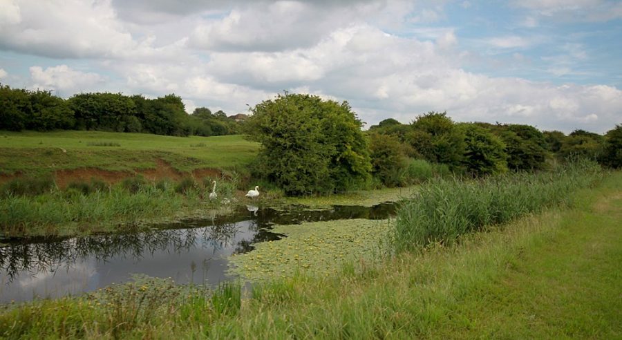 Farmers and conservationists urge Higher Tier expansion