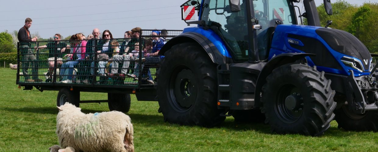 10,000 flocked to the lambing weekend