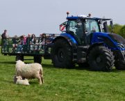 10,000 flocked to the lambing weekend