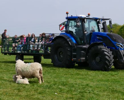 10,000 flocked to the lambing weekend