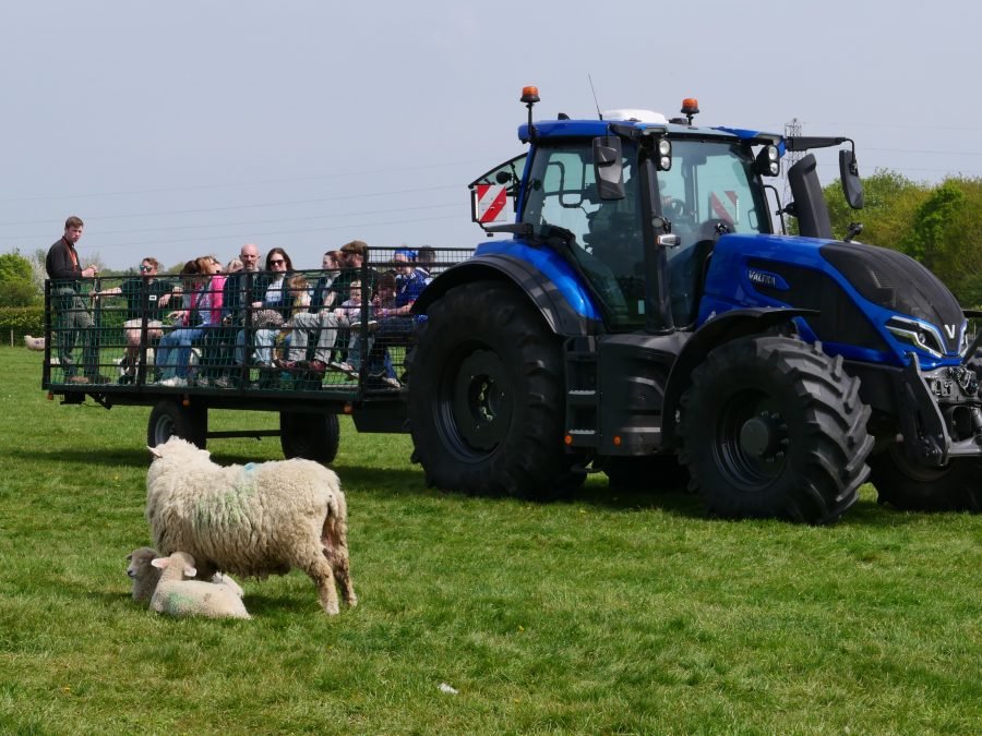10,000 flocked to the lambing weekend
