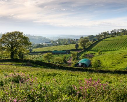 Interest-free loans support organic switch