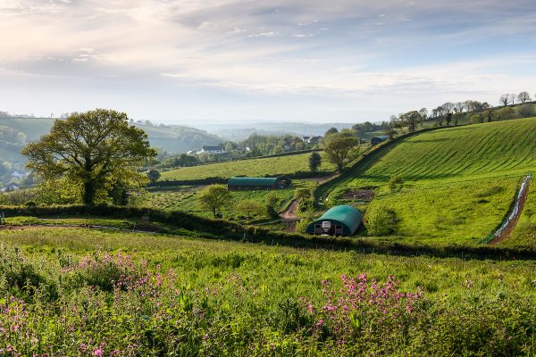 Interest-free loans support organic switch