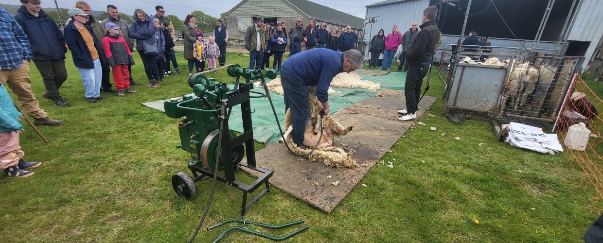 Two octogenarians on show