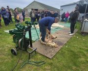 Two octogenarians on show