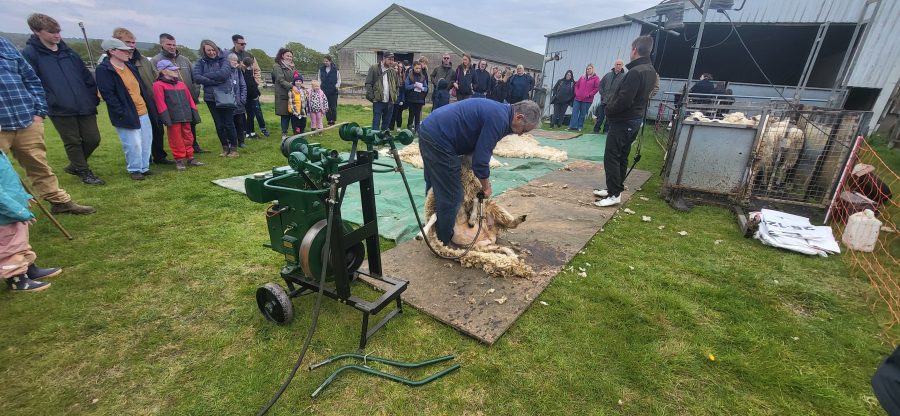 Two octogenarians on show
