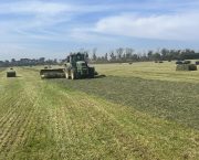 ANITA HICKSON: Second cut silage is on the horizon