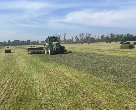 ANITA HICKSON: Second cut silage is on the horizon