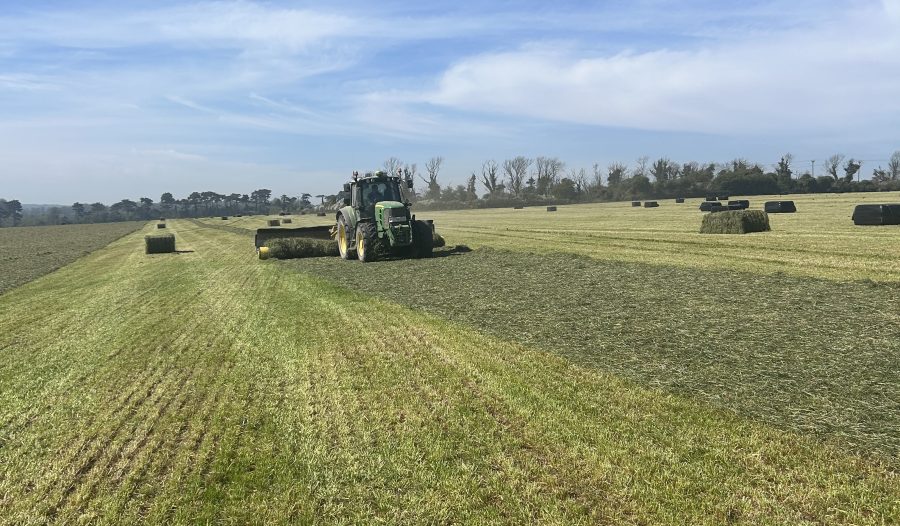 ANITA HICKSON: Second cut silage is on the horizon