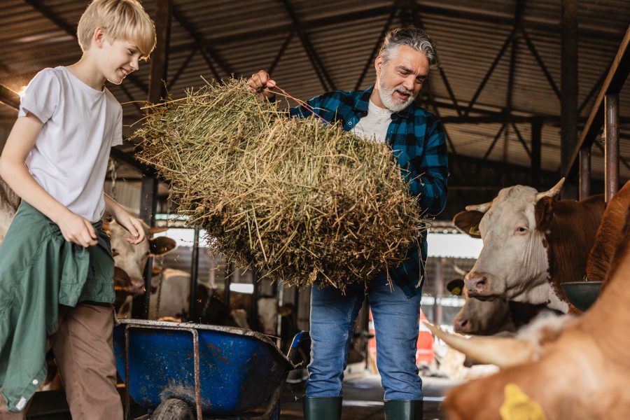 The complexities of succession planning